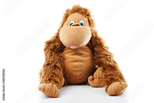 Monkey plush toy in studio. brown monkey,cute monkey,fake monkey,plush monkey,toy monkey,chimpanzee,jocko,gorilla,anthropoid,hominids,monkey toy,monkey plush,monkey with white background. photo