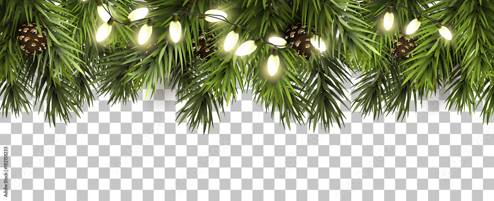 Christmas border with fir branches and pine cones on transparent background  Stock Vector | Adobe Stock