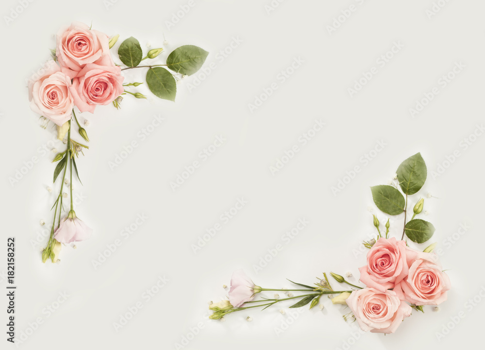 Pink roses with green addons in flower frame composition, isolated white background, flat lay, top view, copy space