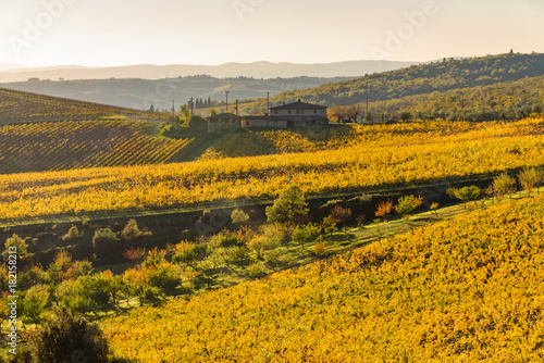 sunset over the chianti hills in autumn in province of Siena Tuscany Italy...