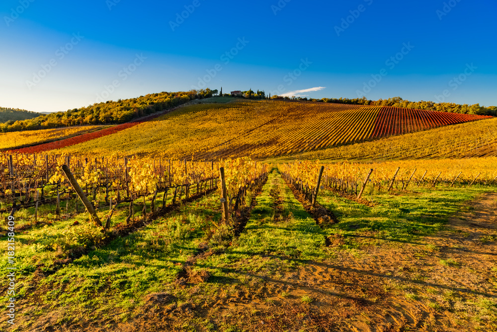 sunset over the chianti hills in province of Siena Tuscany Italy
