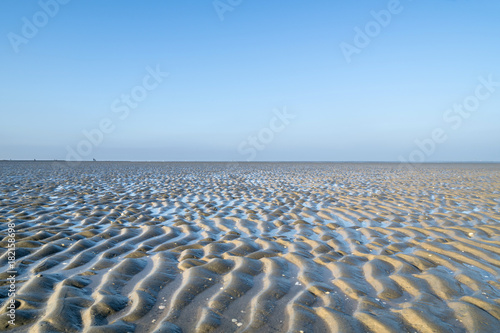 Nationalpark Niedersächsisches Wattenmeer bei Cuxhaven photo