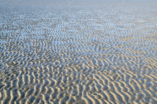 Lower Saxon Wadden Sea National Park near Cuxhaven  Germany