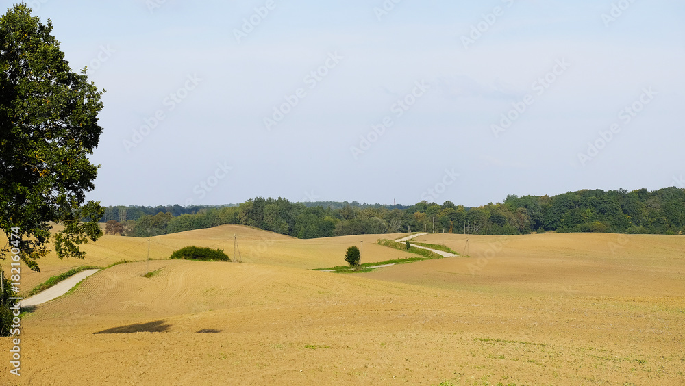 Obraz premium dirt road