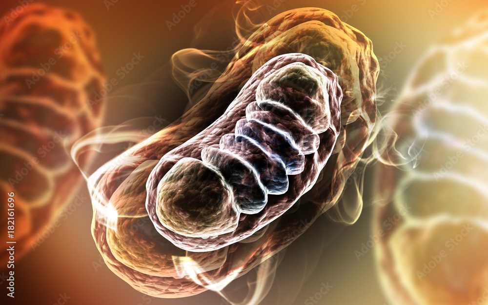 Ταπετσαρία 3d rendered Digital illustration of Mitochondria in colour background