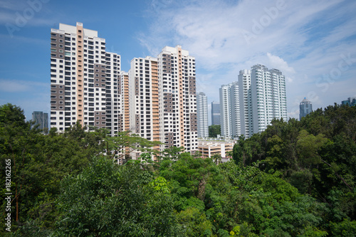 Residential buildings in Singapore, among green parks © pzAxe