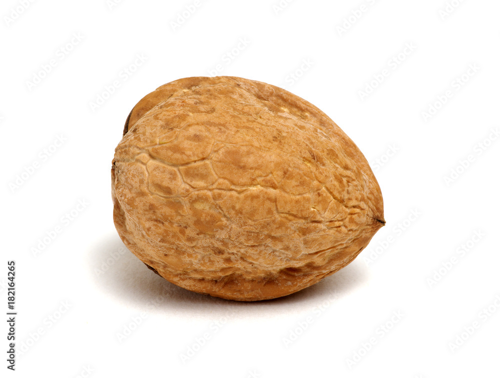 Single walnut on a white Single walnut on a white