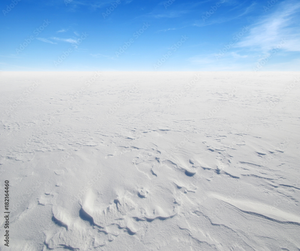field of snow field of snow