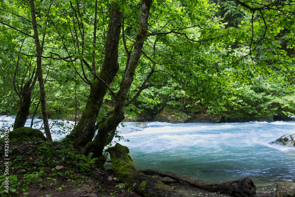 Mountain river in the forests of Abkhazia Mountain river in the forests of Abkhazia