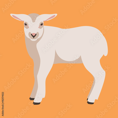 sheep young flat style vector illustration profile view