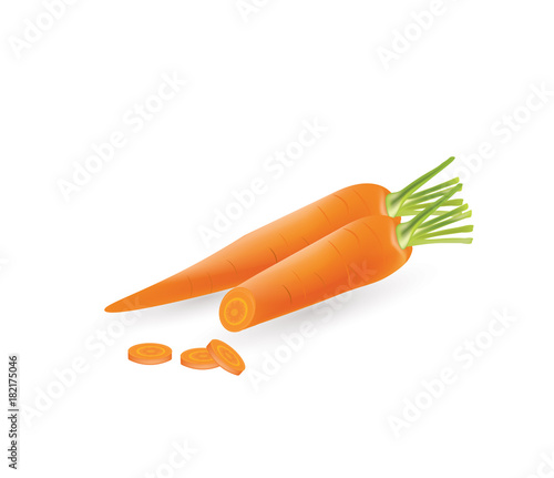 One whole and one sliced carrot, vector