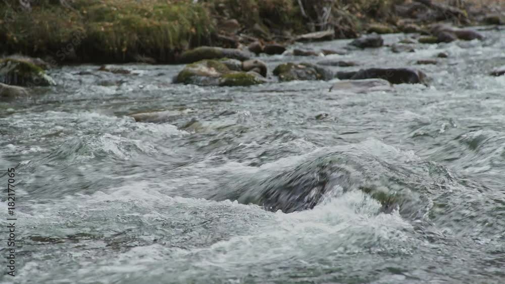 Rifts of a mountain river: a turbulent river stream and rocks. Close-up: the flow of water and rocky rapids, a mountain river. A stormy and troubled river. Rifts of a mountain river: a turbulent river stream and rocks. Close-up: the flow of water and rocky rapids, a mountain river. A stormy and troubled river.