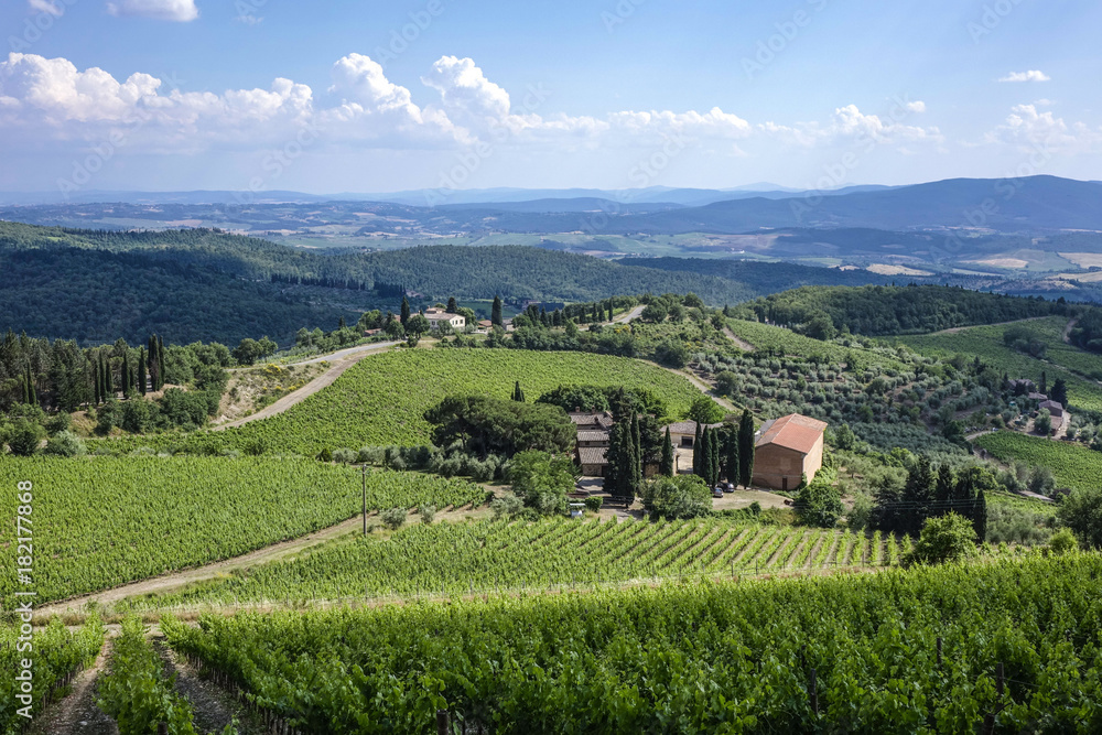 Fototapeta premium Landscape in Tuscany, Italy