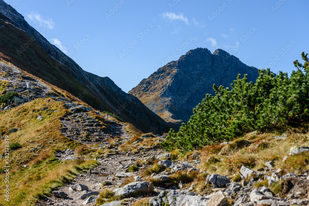 Fototapeta premium rocky mountain peak area view in slovakia