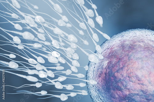 Fotografía Illustration of sperm and egg cell