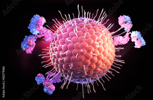 Obraz na plátně Herpes virus and antibodies