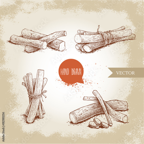 Hand drawn sketch style standing liquorice roots bunches set. Herbal and aromatic vector illustrations collection.