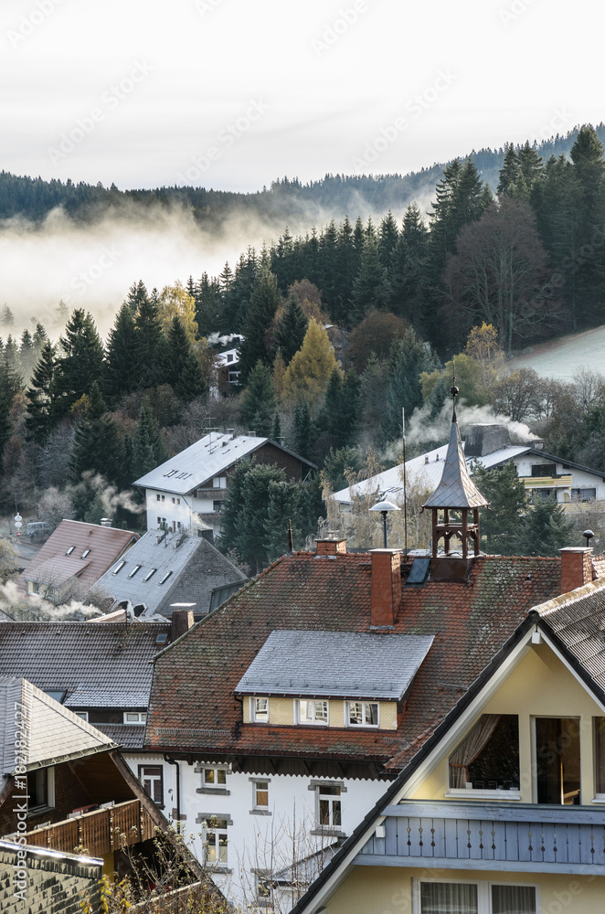 Rooftops of a Black Forest village on a foggy morning
