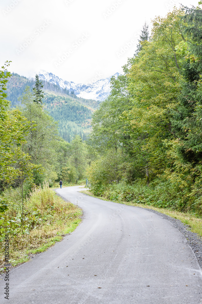 Fototapeta premium empty asphalt road in the countryside in summer