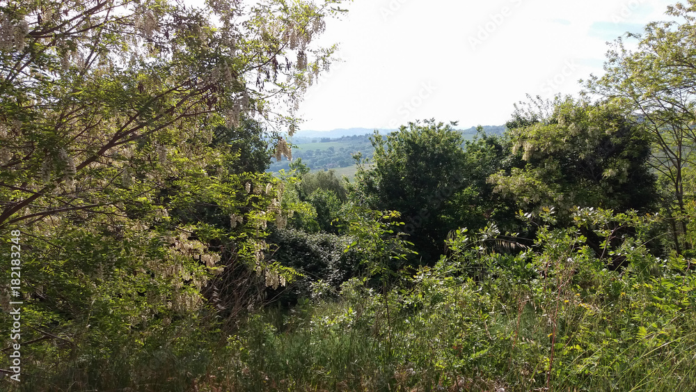 The hills in Siena