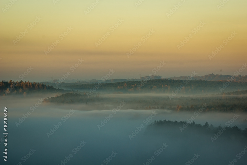 Fototapeta premium Foggy morning on the Jura Krakowsko-Czestochowska, Mirow, Poland