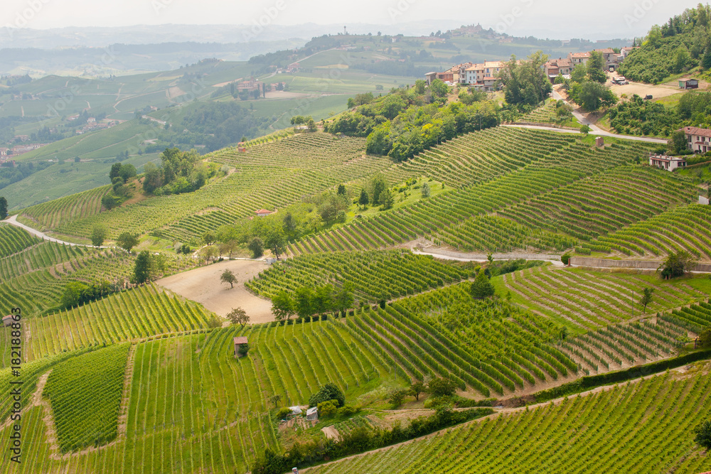 La Morra vineyards landscape