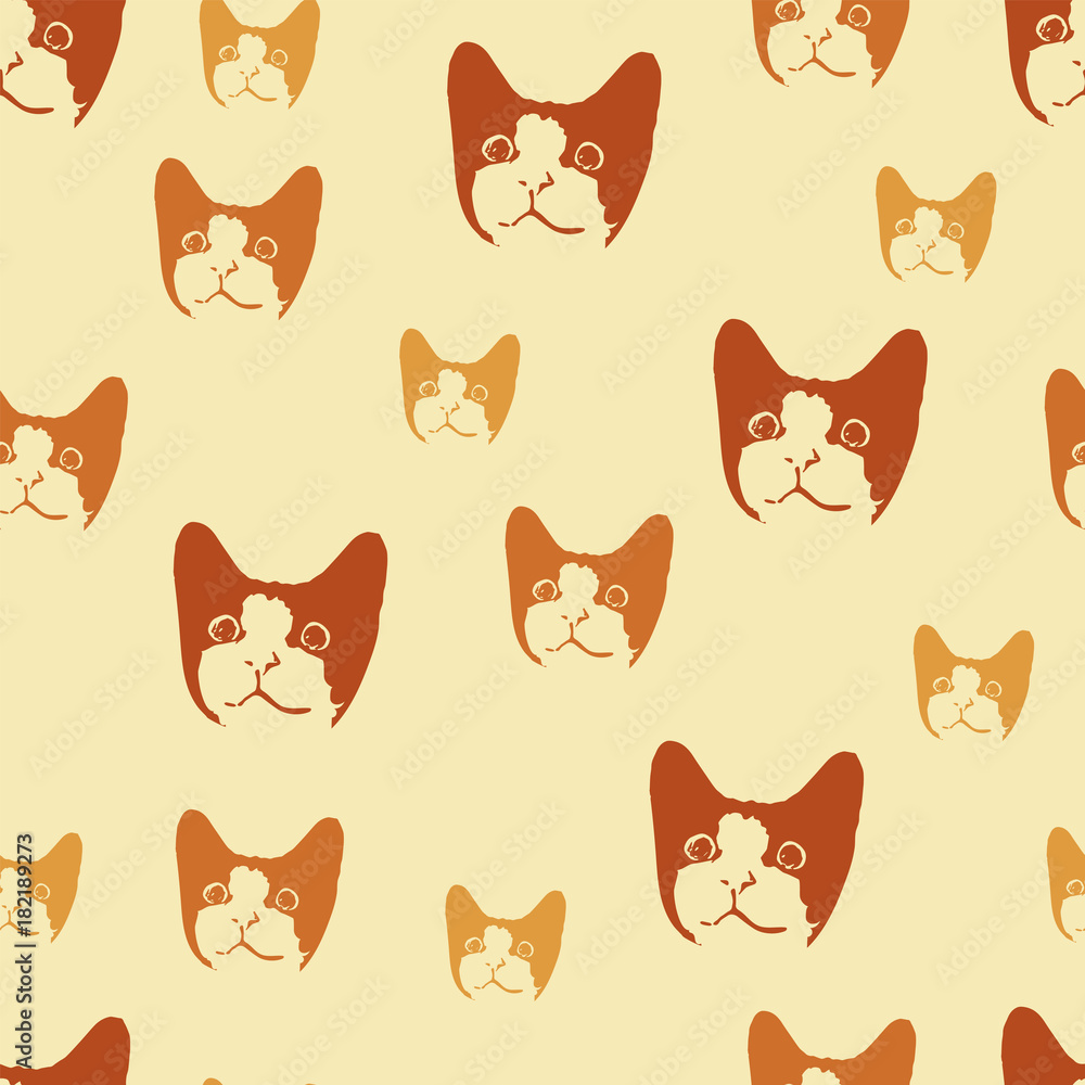 Curious cat. Curious cat.