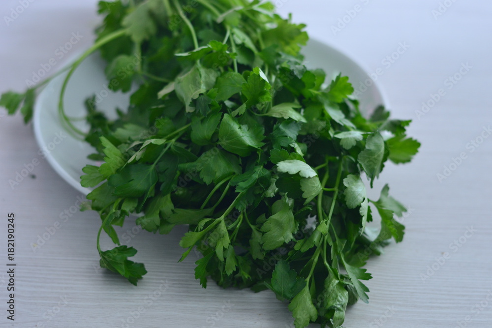 parsley, food, organic, rocket, ingredient, healthy, natural, oregano, rosemary, herb, thyme, vegetarian, dill, mint, cilantro, vegan, salad, background, basil, illustration, kitchen, sage, tarragon, parsley, food, organic, rocket, ingredient, healthy, natural, oregano, rosemary, herb, thyme, vegetarian, dill, mint, cilantro, vegan, salad, background, basil, illustration, kitchen, sage, tarragon,