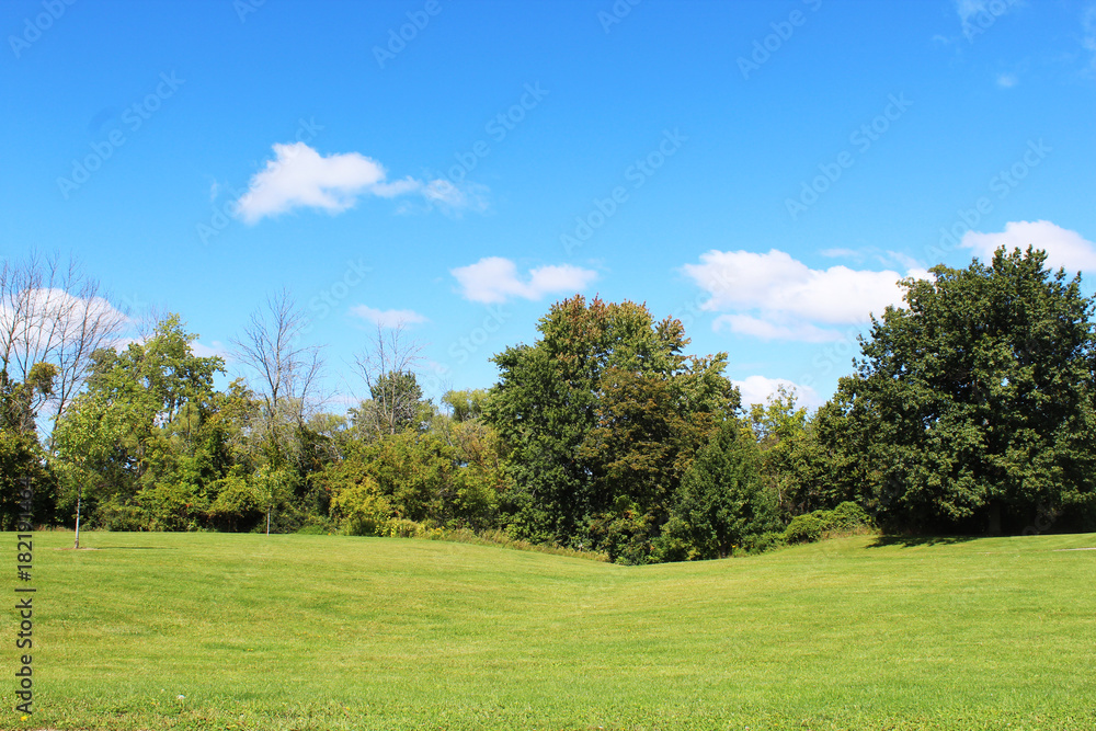 Gently rolling hills, tres and bright blue sky