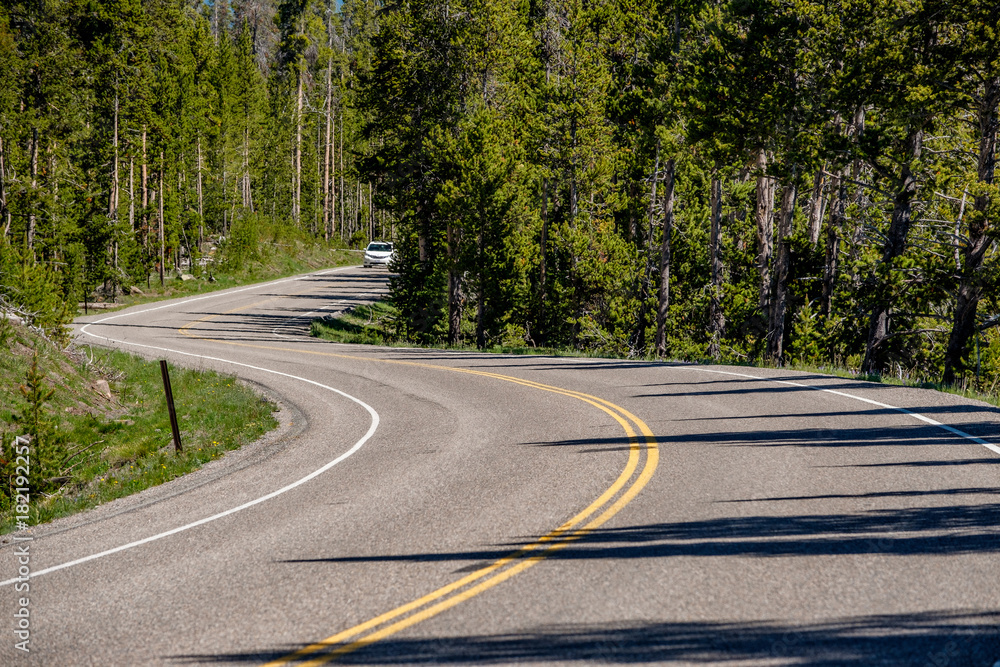 Highway in Yellowstone National Park Highway in Yellowstone National Park