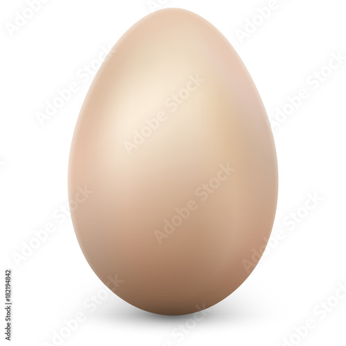 Single egg isolated on white background with transparent shadow. EPS 10 vector
