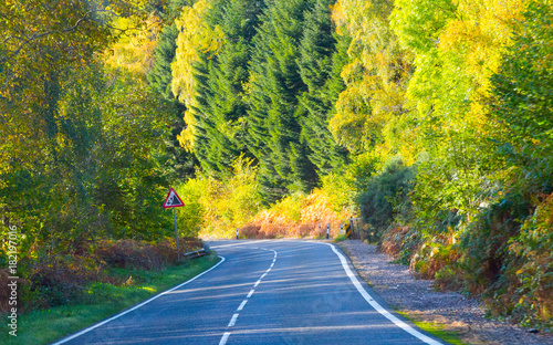 Highands Scotland autumn road photo