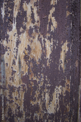 old wooden texture © johnqsbf