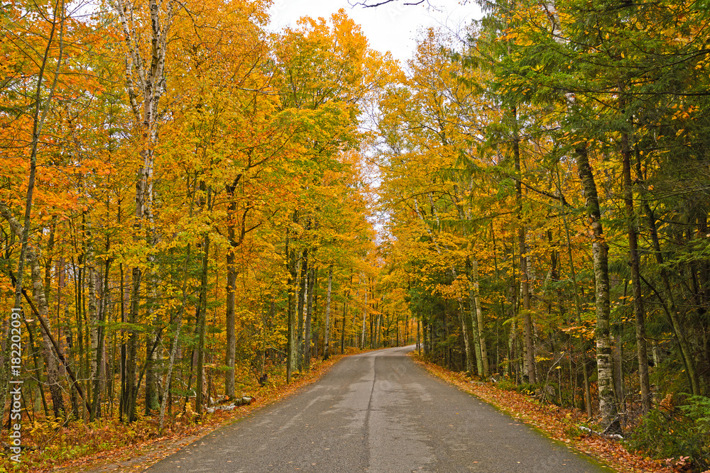 Colorful Rural Road in the Fall