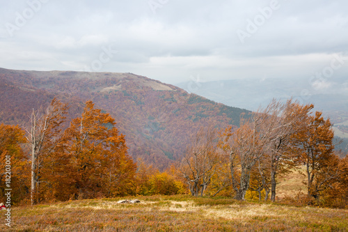 Autumn in Carpathian Mountains, Ukraine