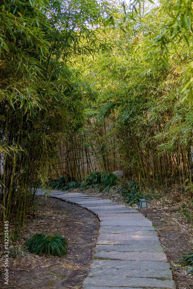 path in bamboo forest