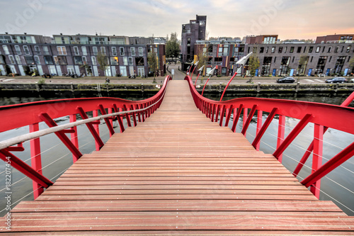 Photography Python Bridge Amsterdam