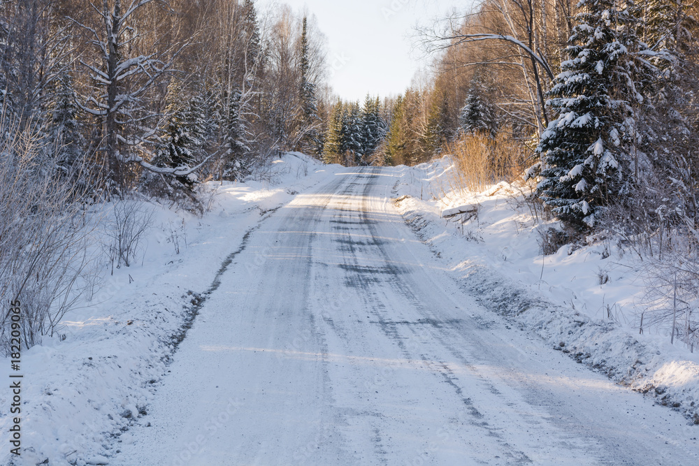 The winter road in the wood. The road in Siberia in the winter. The winter road in the wood. The road in Siberia in the winter.