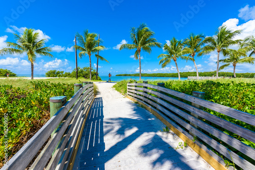 Fototapeta Naklejka Na Ścianę i Meble -  Sombrero Beach with palm trees on the Florida Keys, Marathon, Florida, USA. Tropical and paradise destination for vacation.