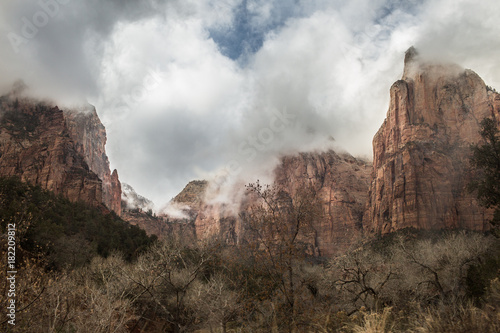 Zion park 002