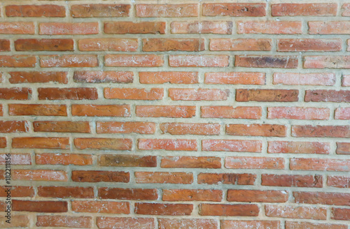 brick wall or brick fence
