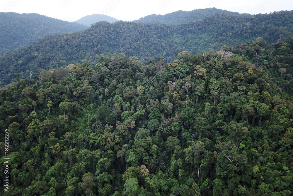 Rainforest. Aerial photo of forest and mountain landscape. Thailand, Southeast Asia