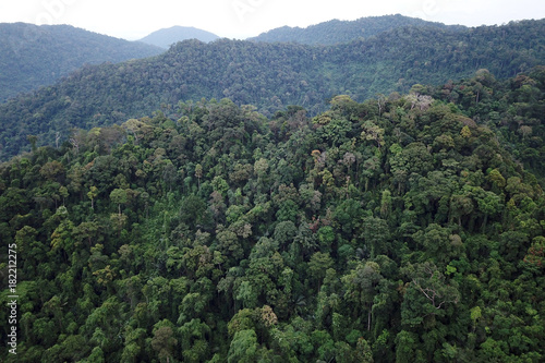 Rainforest. Aerial photo of forest and mountain landscape. Thailand, Southeast Asia