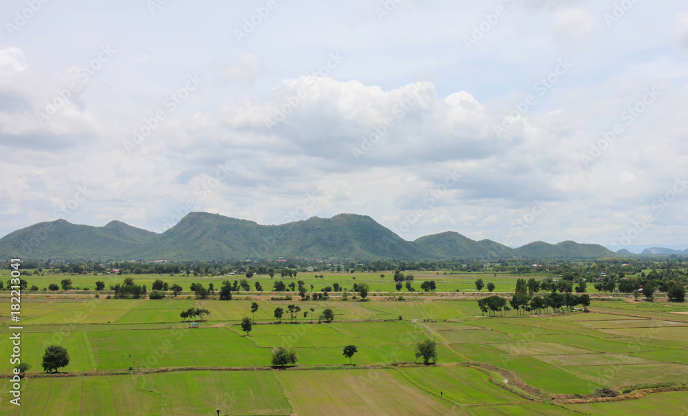 Green field in Thailand.