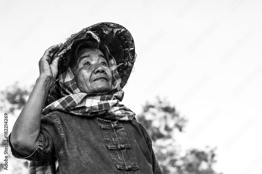 Thai grandma farmers lifestyle close up.