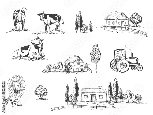 hand drawn vector illustration set with farm and cow, sunflowers. sketh.