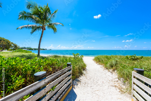 Sombrero Beach with palm trees on the Florida Keys, Marathon, Florida, USA. Tropical and paradise destination for vacation. photo