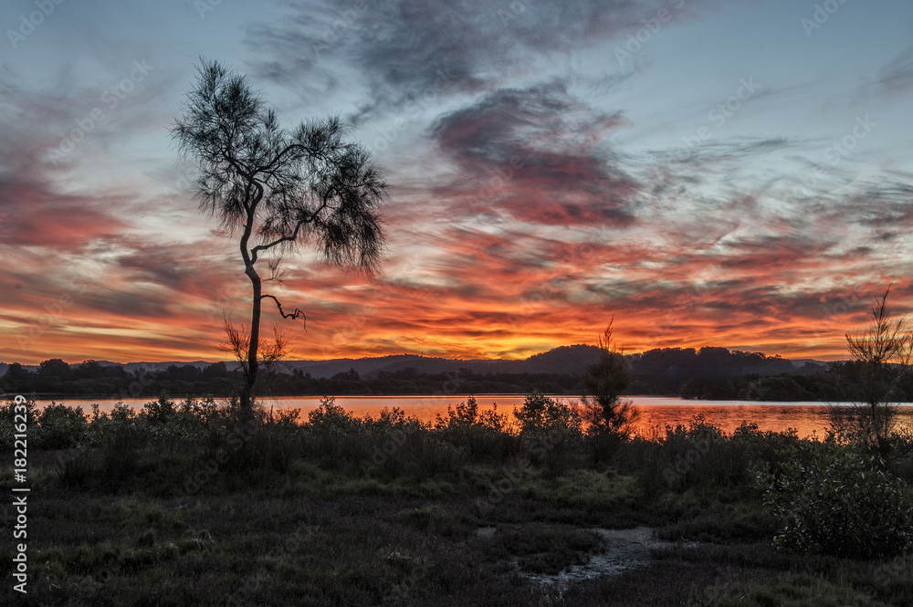 Setting Sun, Gosford NSW Australia Setting Sun, Gosford NSW Australia