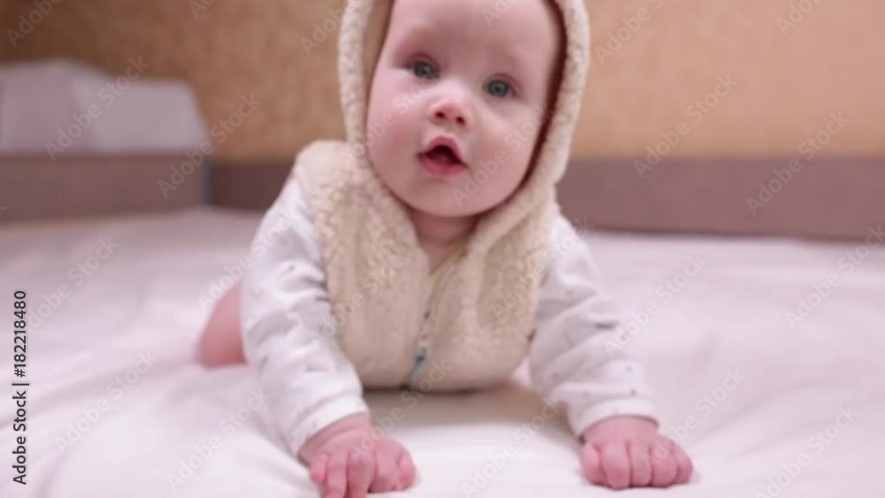 bear costume.
portrait of adorable blue-eyed 6 months old baby boy. Natural light bear costume.
portrait of adorable blue-eyed 6 months old baby boy. Natural light
