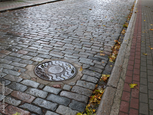 The wet hatch decorated with wavy lines, the stone pavement, the part of pedestrian area and yellow leaves. 